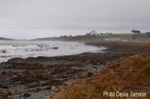 Photo of the Week November 7, 2014: Chapel Cove after a nor'easter
