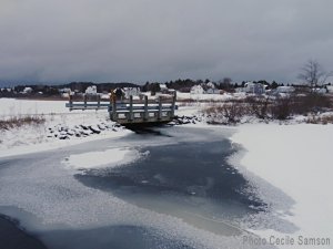 Photo of the Week - Winter scene n L'Ardoise
