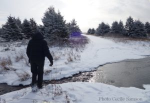 Cape Breton Living Photo of the Week: A Walk in the Snow