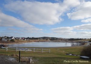 Cape Breton Living Photo of the Week: A Day in January