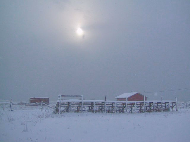 Cape Breton Photo Memories: Old Horse Arena 2002
L'Ardoise 2002 -  Old horse arena Chapel Cove Rd.
"Sun salutations can energize and warm you, even on the darkest, coldest winter day."
- Carol Krucoff