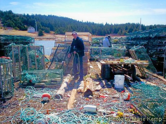 Cape Breton Living Photo Memories: Little Harbour L'Ardoise 2008
Little Harbour L'Ardoise 2008 - Old Tom busy at the wharf.
"The heart of man is very much like the sea, it has its storms, it has its tides and in its depths it has its pearls too." - Vincent Van Gogh