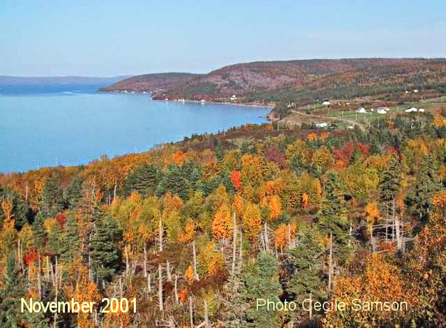Cape Breton Living Photo Memories: 2001 - 20 Years
Irish Cove Look-Off. On November 16, 2001, the first Photo of the Week made its appearance on the Cape Breton Living website. 
"If you look at things from a distance, most anything looks beautiful." - Haruki Murakami