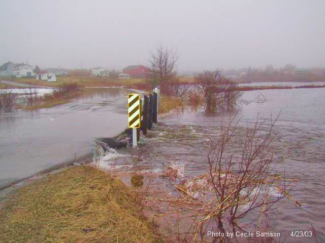 Cape Brton Photo Memories: water over the bridge 2004
"The single raindrop never feels responsible for the flood.”
 - Douglas Adams 
L'Ardoise 2004 – Water over the bridge on Chapel Cove Rd
Post from April 9, 2004   